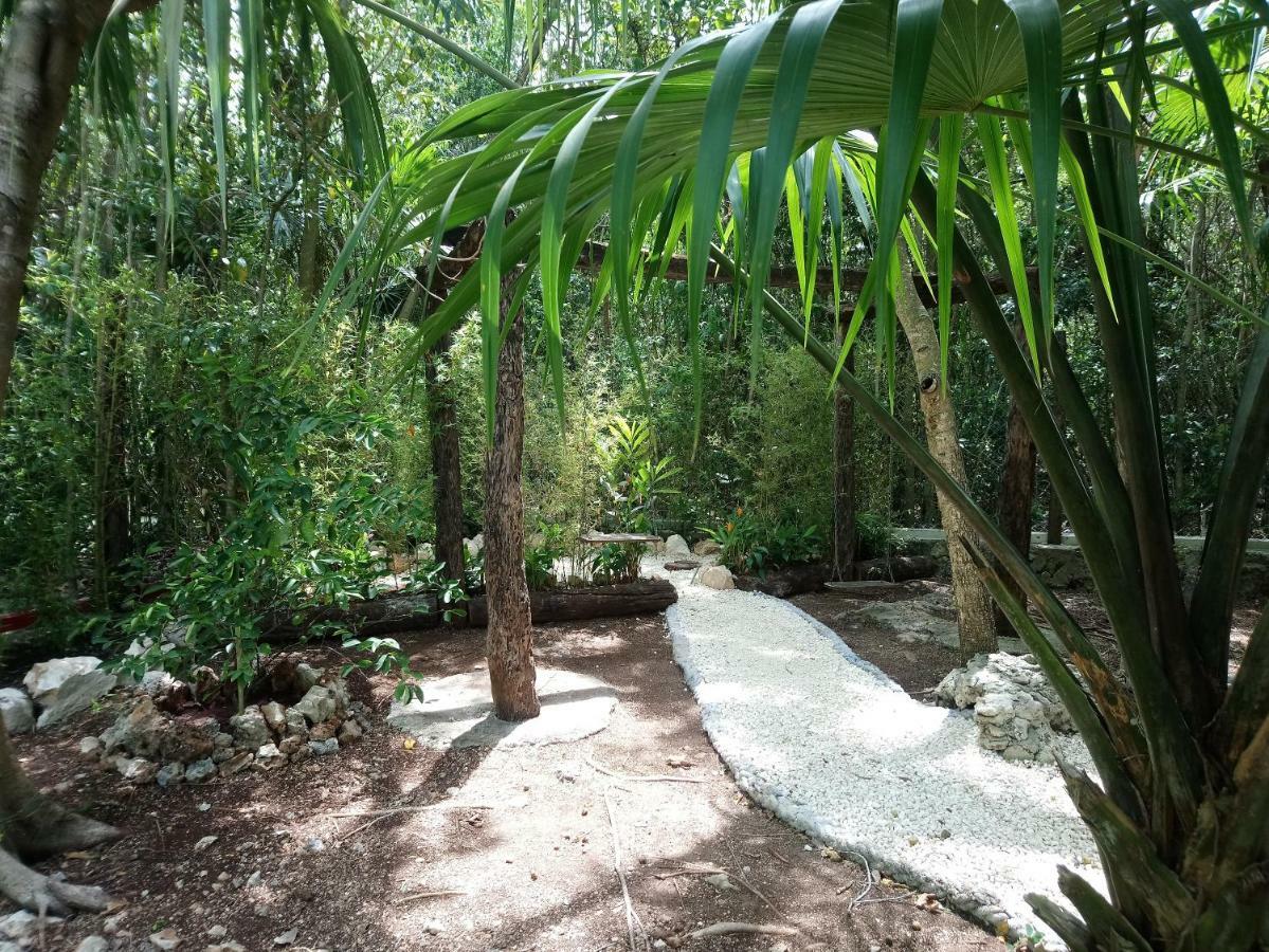 Casita Rustica En La Selva Hotel แคนคูน ภายนอก รูปภาพ